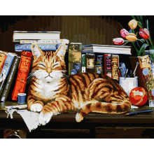 Картина по номерам "Кот на книжной полке"