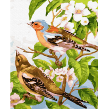 Картина по номерам "Весенние птички"
